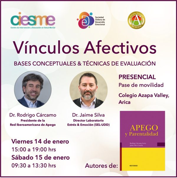 Vínculos Afectivos: Bases Conceptuales y Técnicas de Evaluación